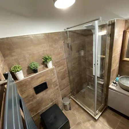 Lejlighed Parliament Budapest
